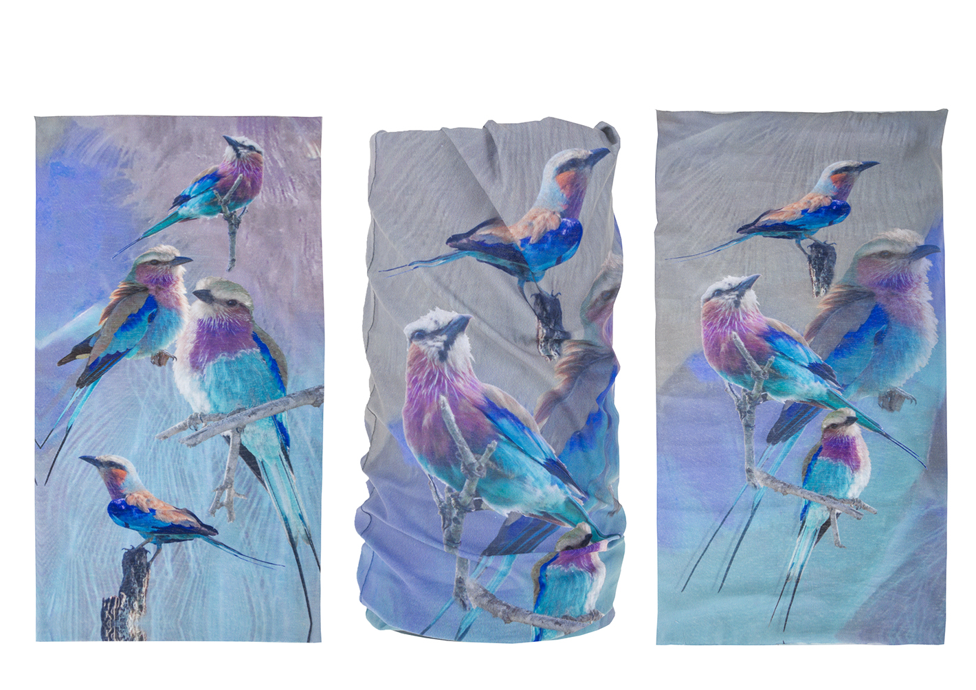 2021-lilac-breasted-roller-buff-006